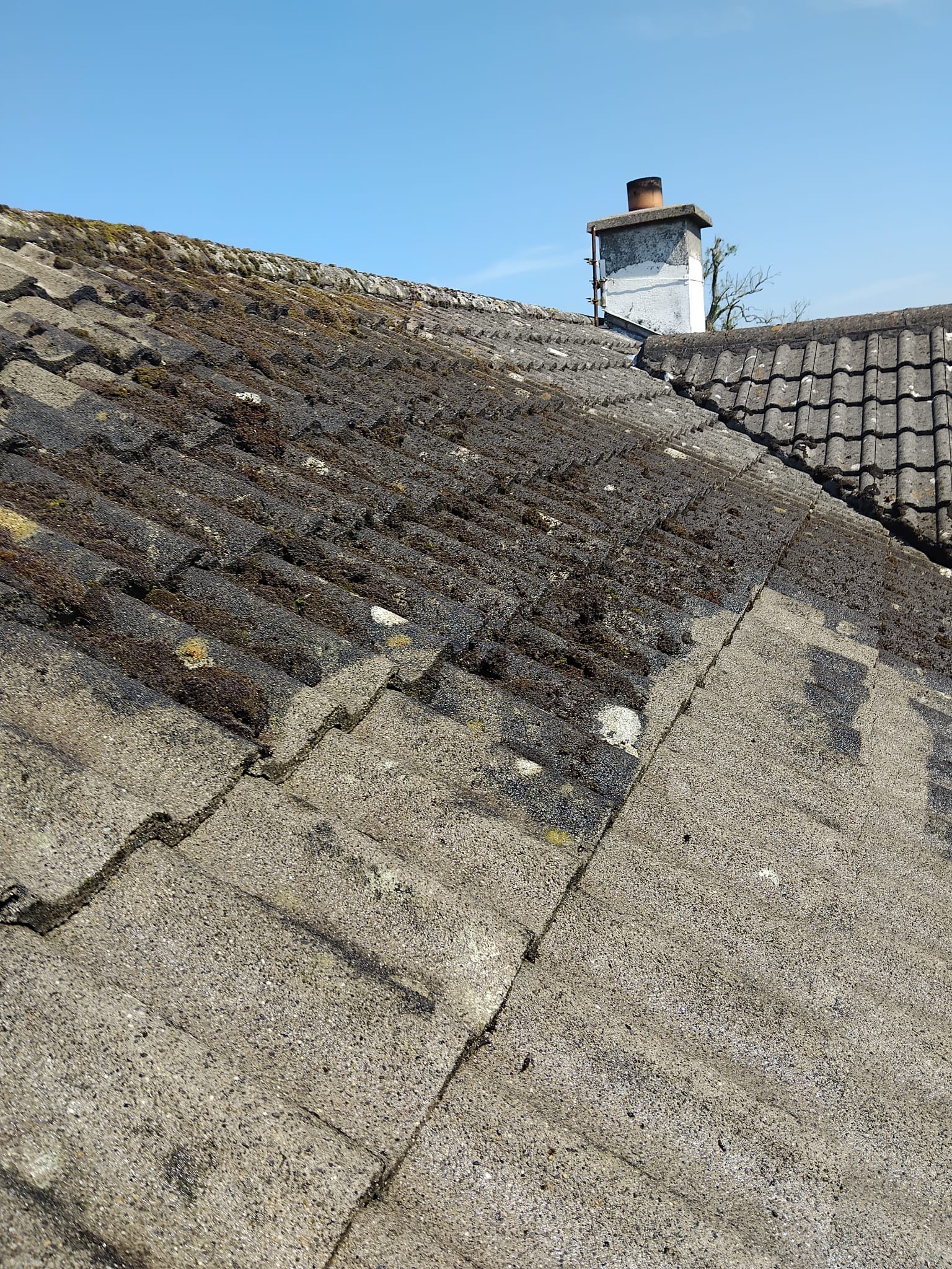 Moss covered roof before roof washing in Limerick