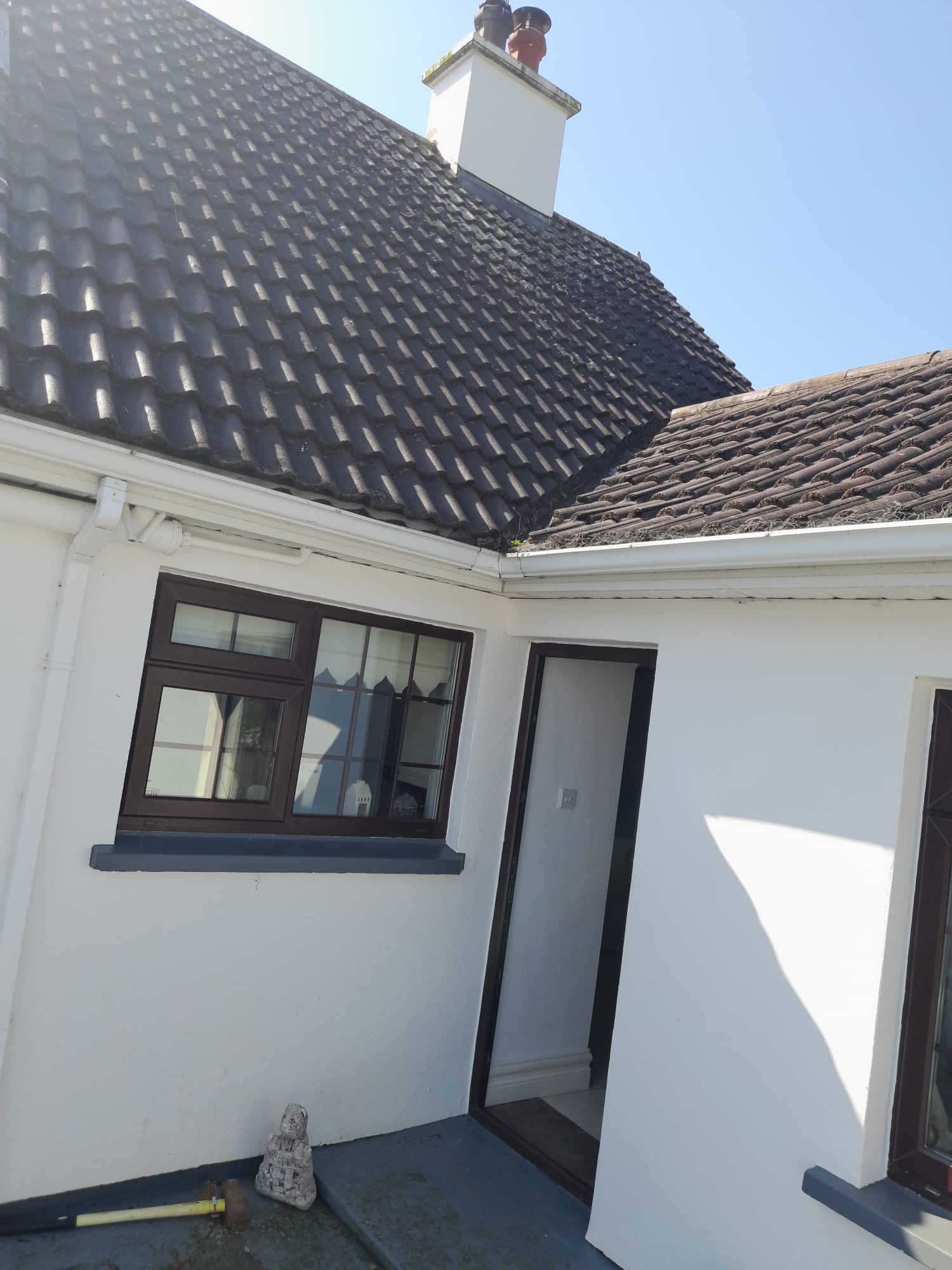 Roof and gutter cleaning on a house in County Limerick