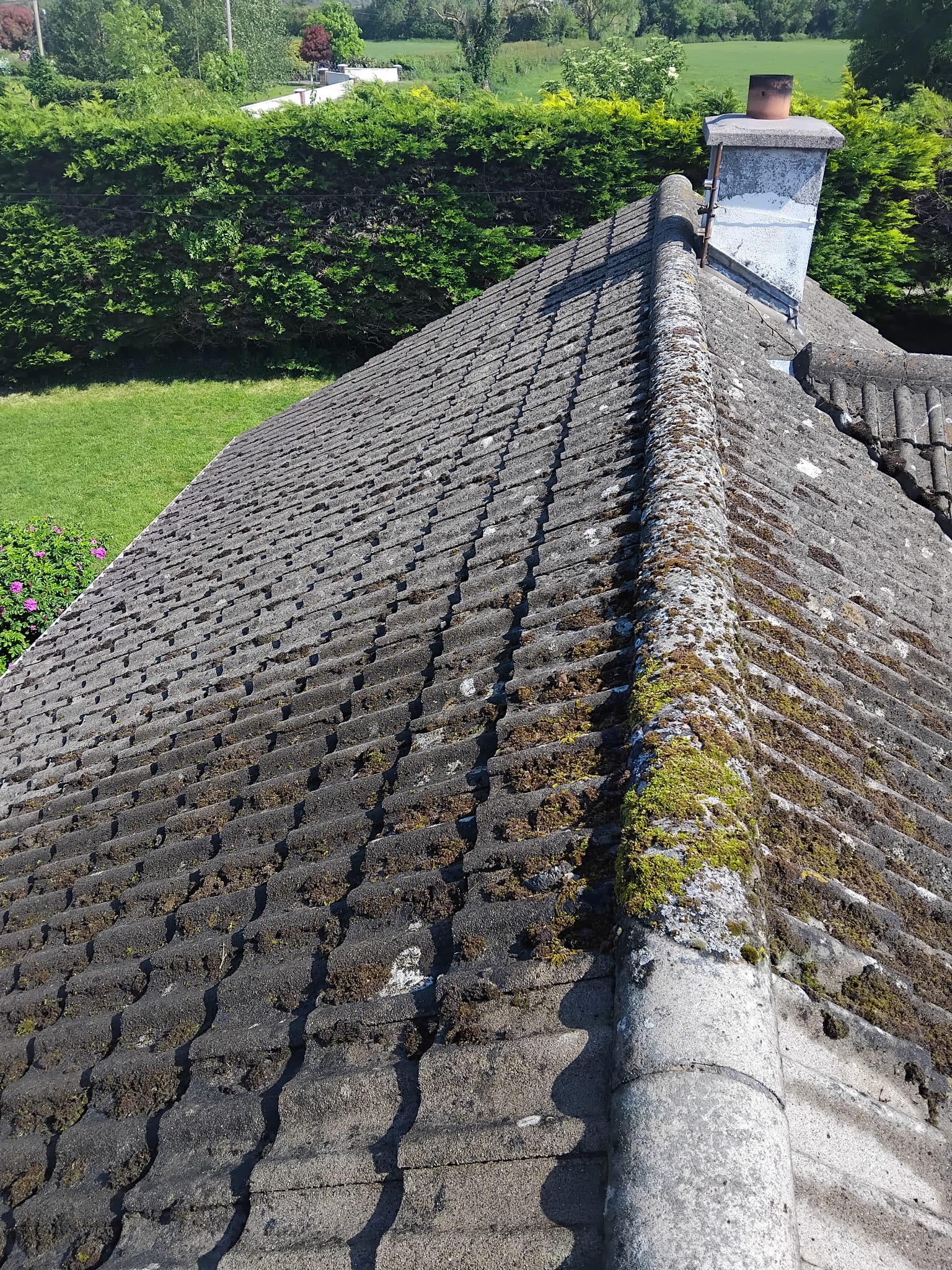 Roof washing Limerick service