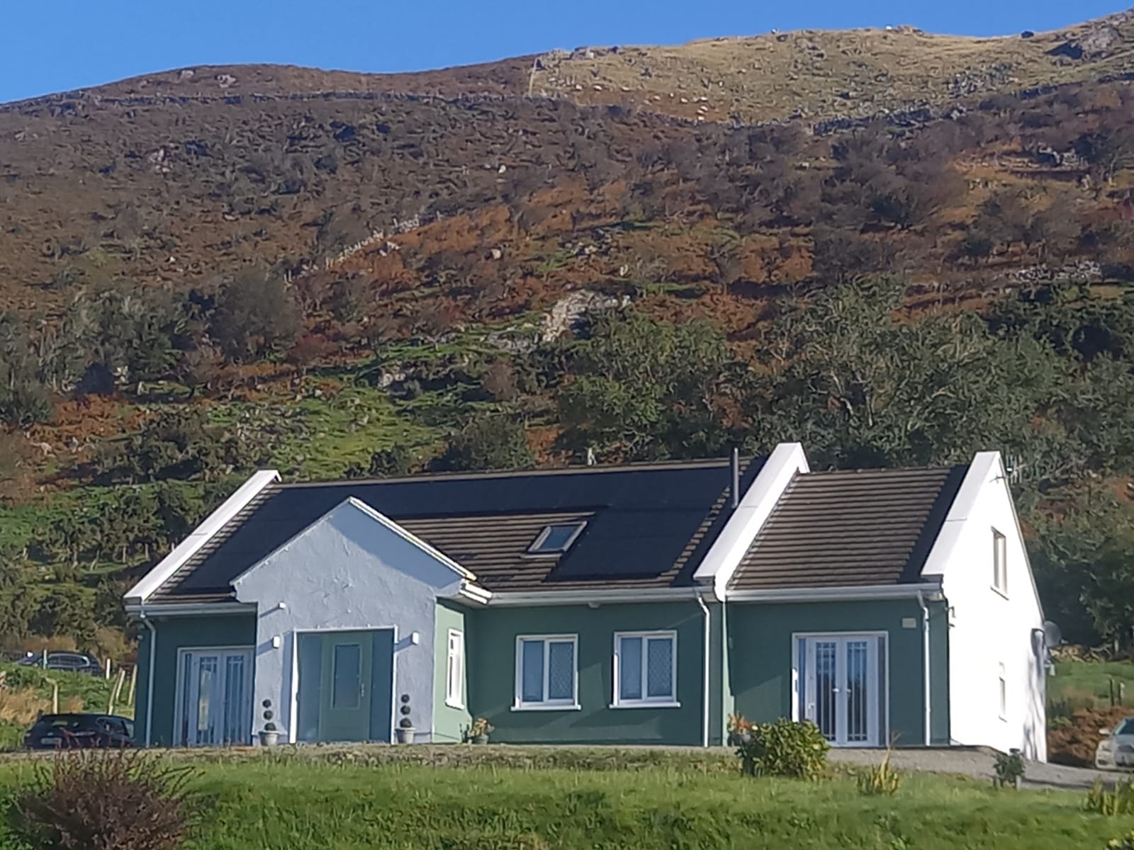 Soft washing Limerick service